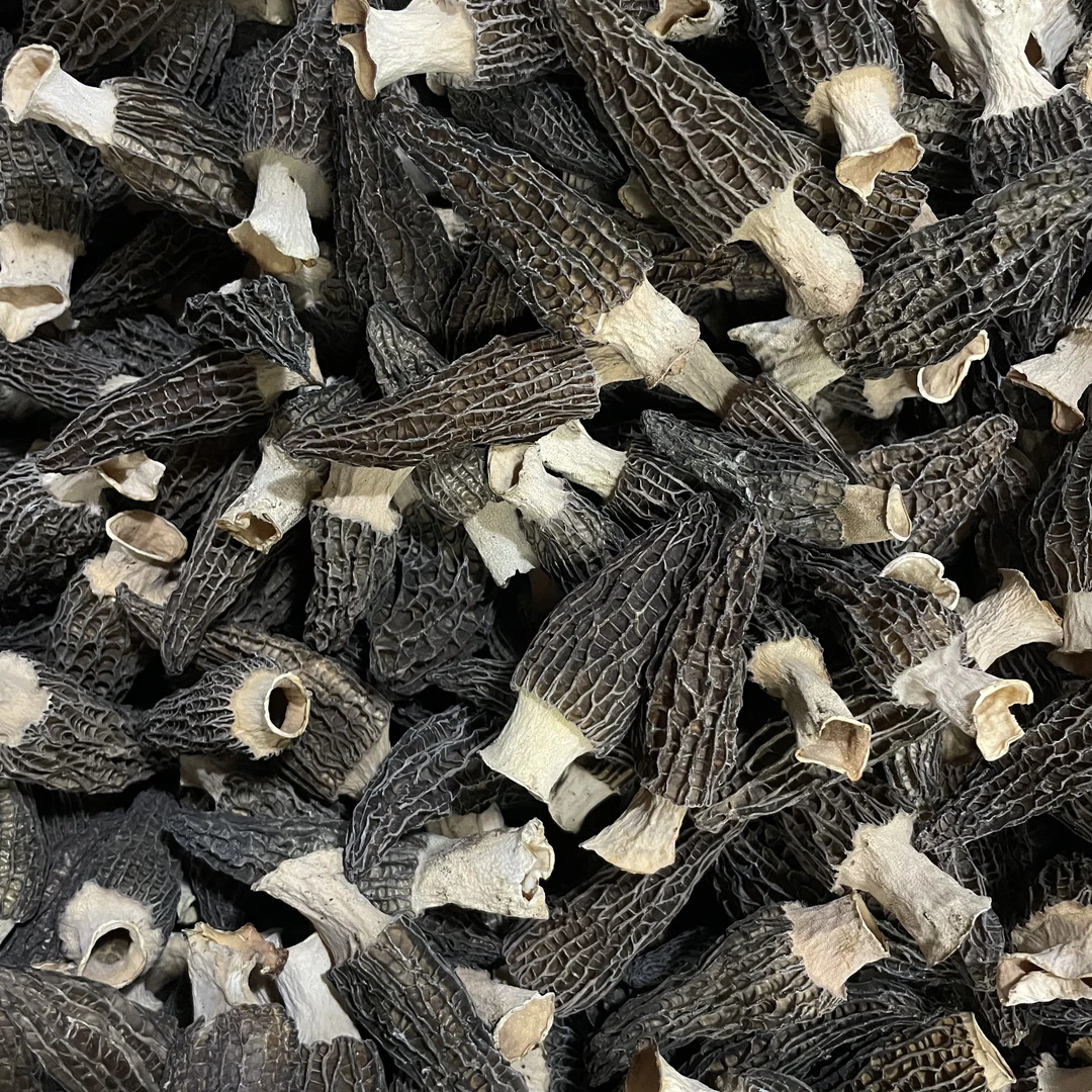 【升发】5-7羊肚菌