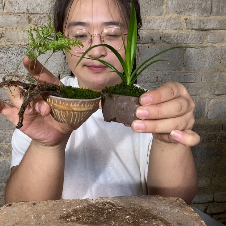 唐*?退款拉黑一物一拍82