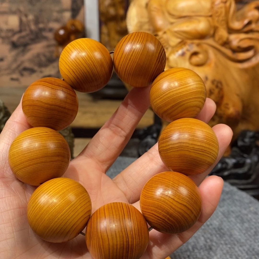 柏木（崖柏）崖柏3.0