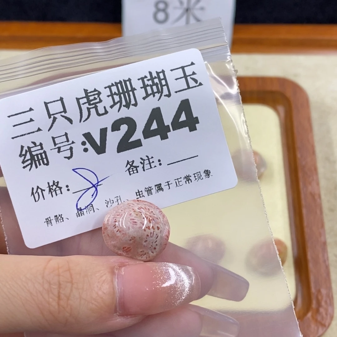 硅化珊瑚（珊瑚玉）未镶嵌1吃****哆