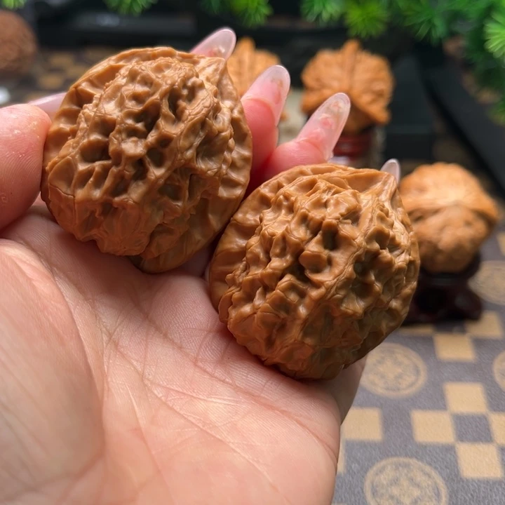 核桃41核欢文玩和他
