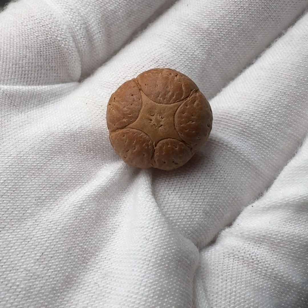 凤眼菩提吊坠16.9x12.2五星