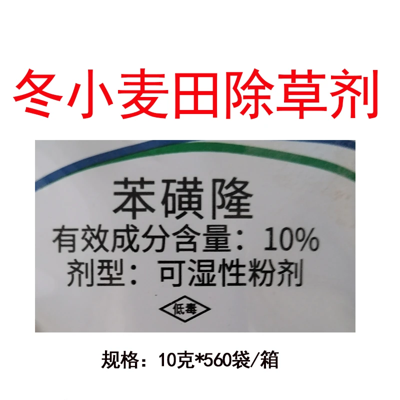 10%苯磺隆冬小麦田阔叶杂草圆叶草播娘蒿猪殃殃农药除草剂