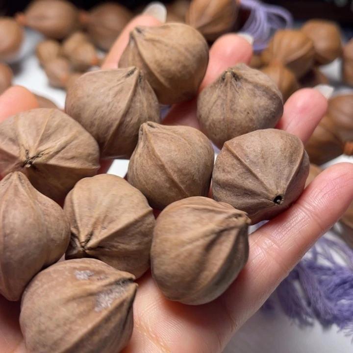 L***Z橄榄核手串/手链2.9