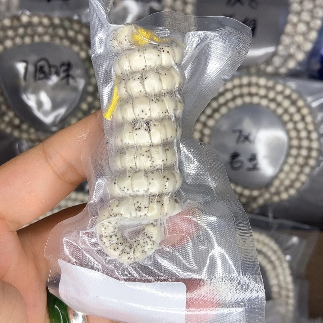 星月菩提手串星月