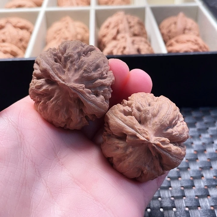 霸王龙核桃尺寸38