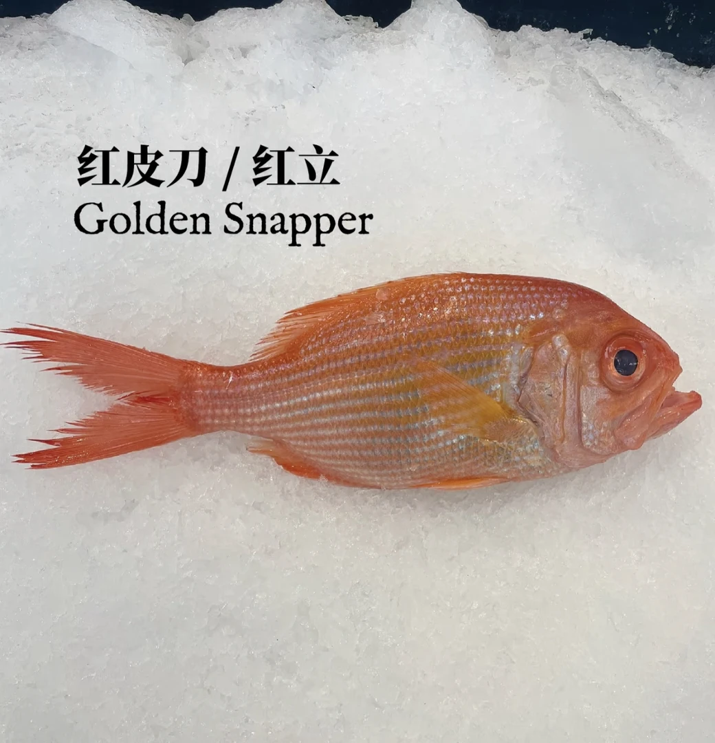 野生金眼鲷（红皮刀）带着鱼鳞香煎外酥里嫩无小刺
