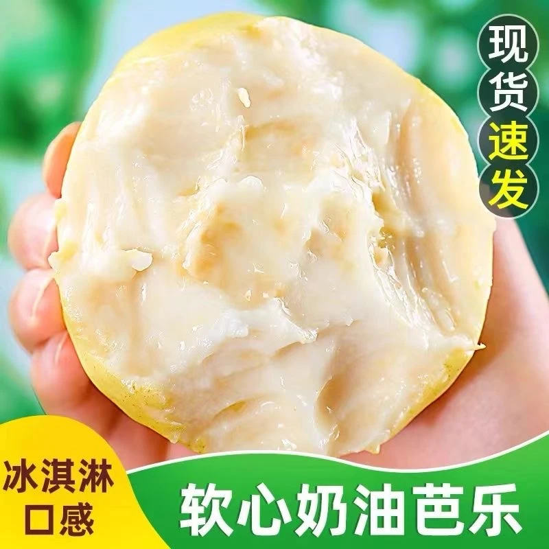 白心奶油芭乐软糯番石榴香甜软心冰淇淋口感应季当季新鲜水果整箱