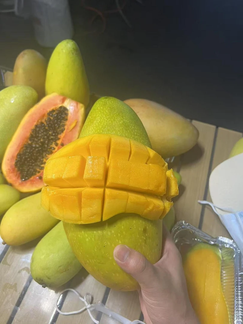 摊位专属海南金煌芒水仙芒新鲜饱满香甜多汁热带应季