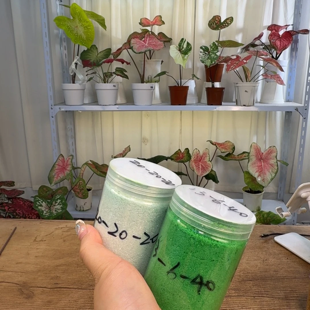 无花朵20-20-20+13-6-40   1斤装