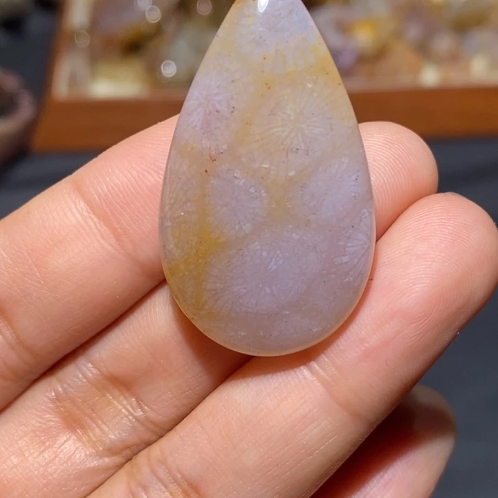 【闪购商品】未镶嵌珊瑚玉硅化玉