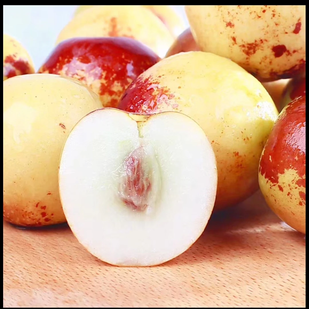 正宗黄骅冬枣顺丰包邮枣脆甜多汁新鲜采摘当季孕妇水果