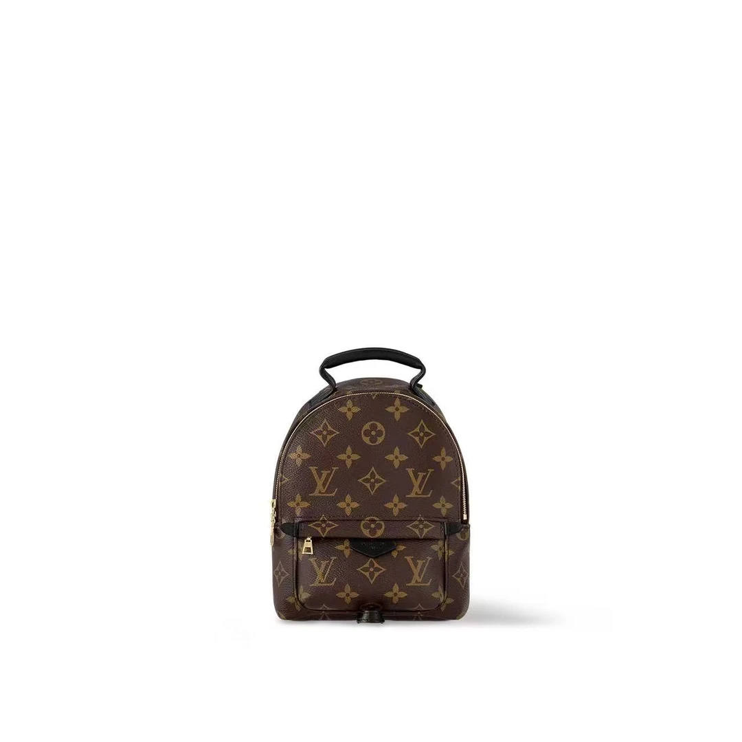 99新 LouisVuitton/路易威登 书包小号双肩包 直播间展示包1