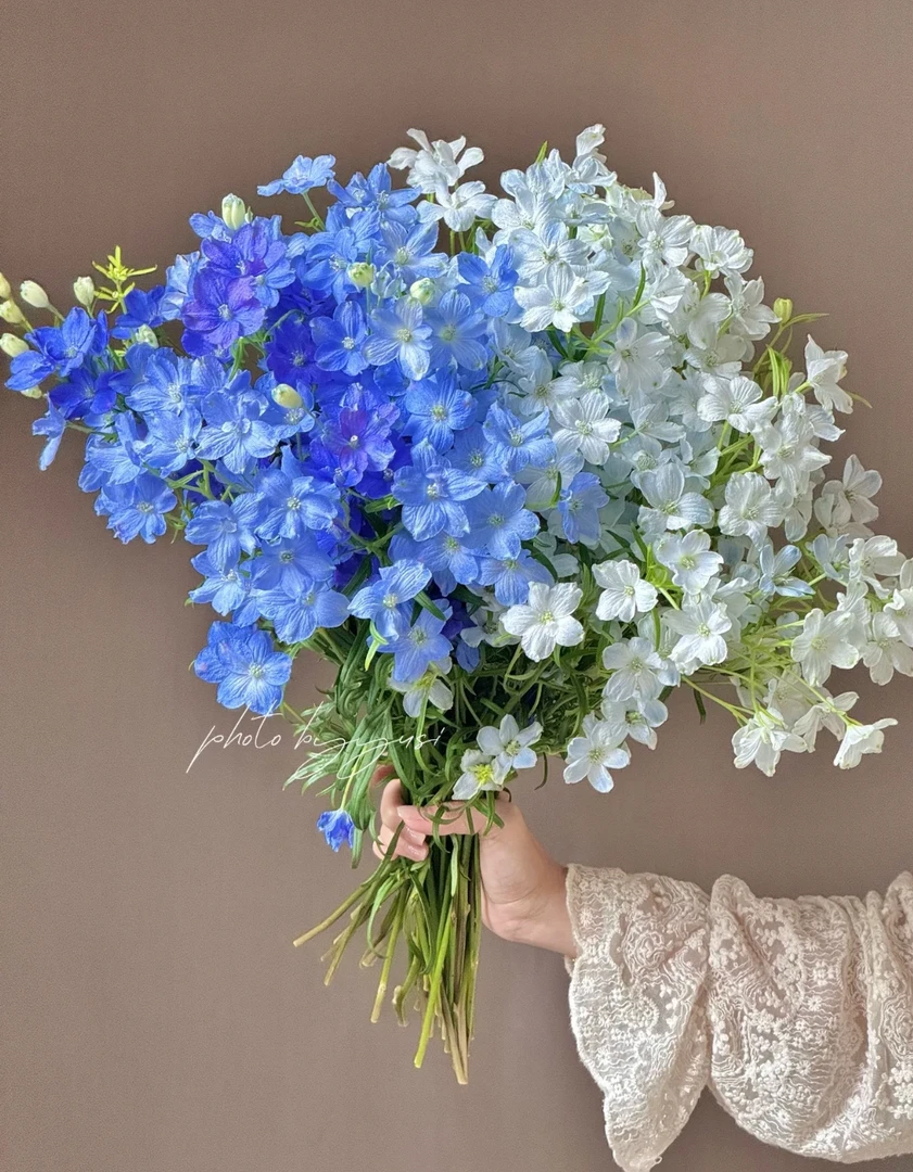 【悠米花】小飞燕一扎