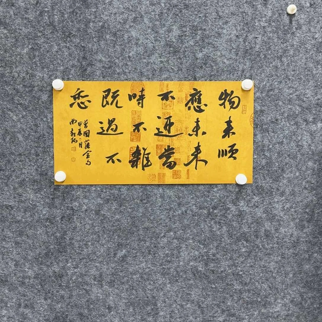 书法老师书法作品QZy