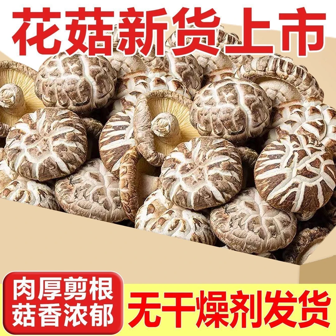 【小丸子专属】新花菇