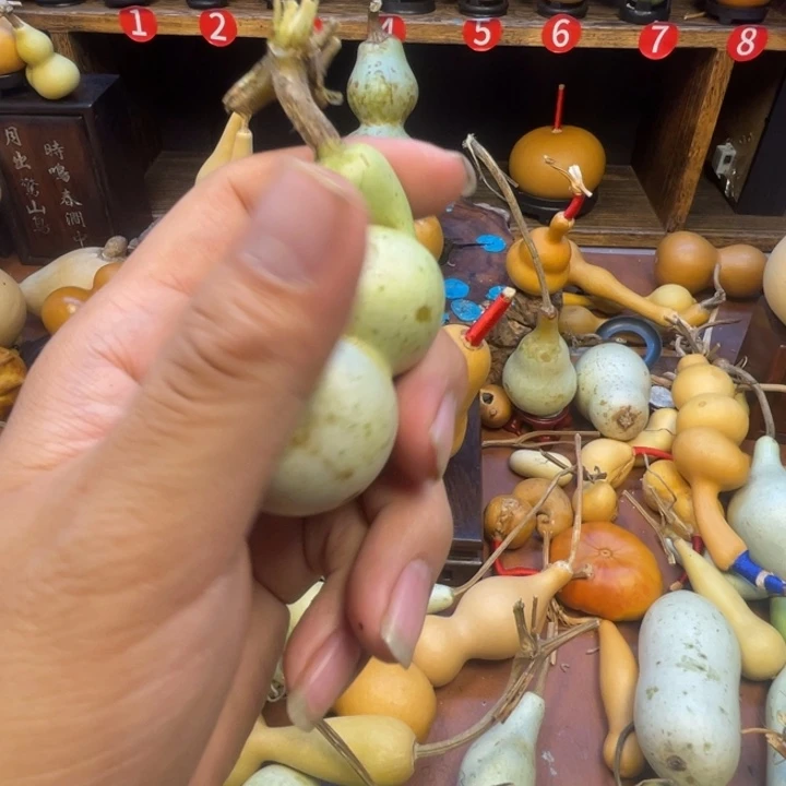 何***峰葫芦葫芦葫芦葫芦