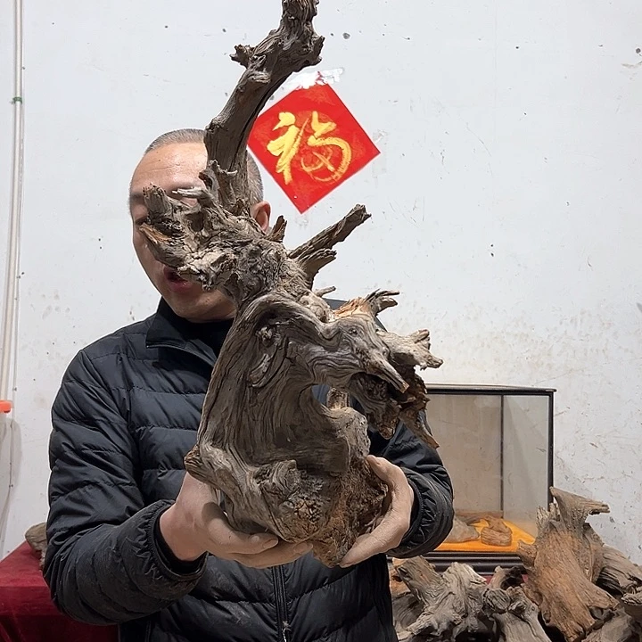 柏木遠*我们的生活也会越来越