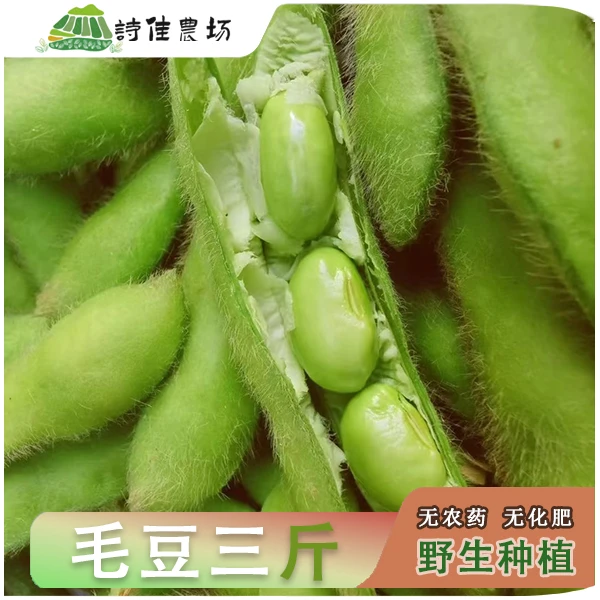 自己家新鲜毛豆带壳现摘现发当季蔬菜新鲜发货