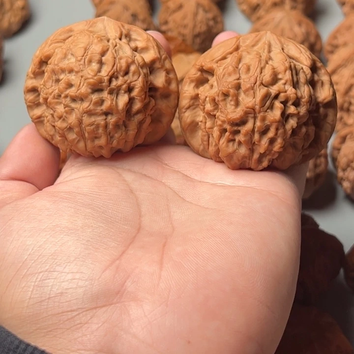 全品53龙鼎123456