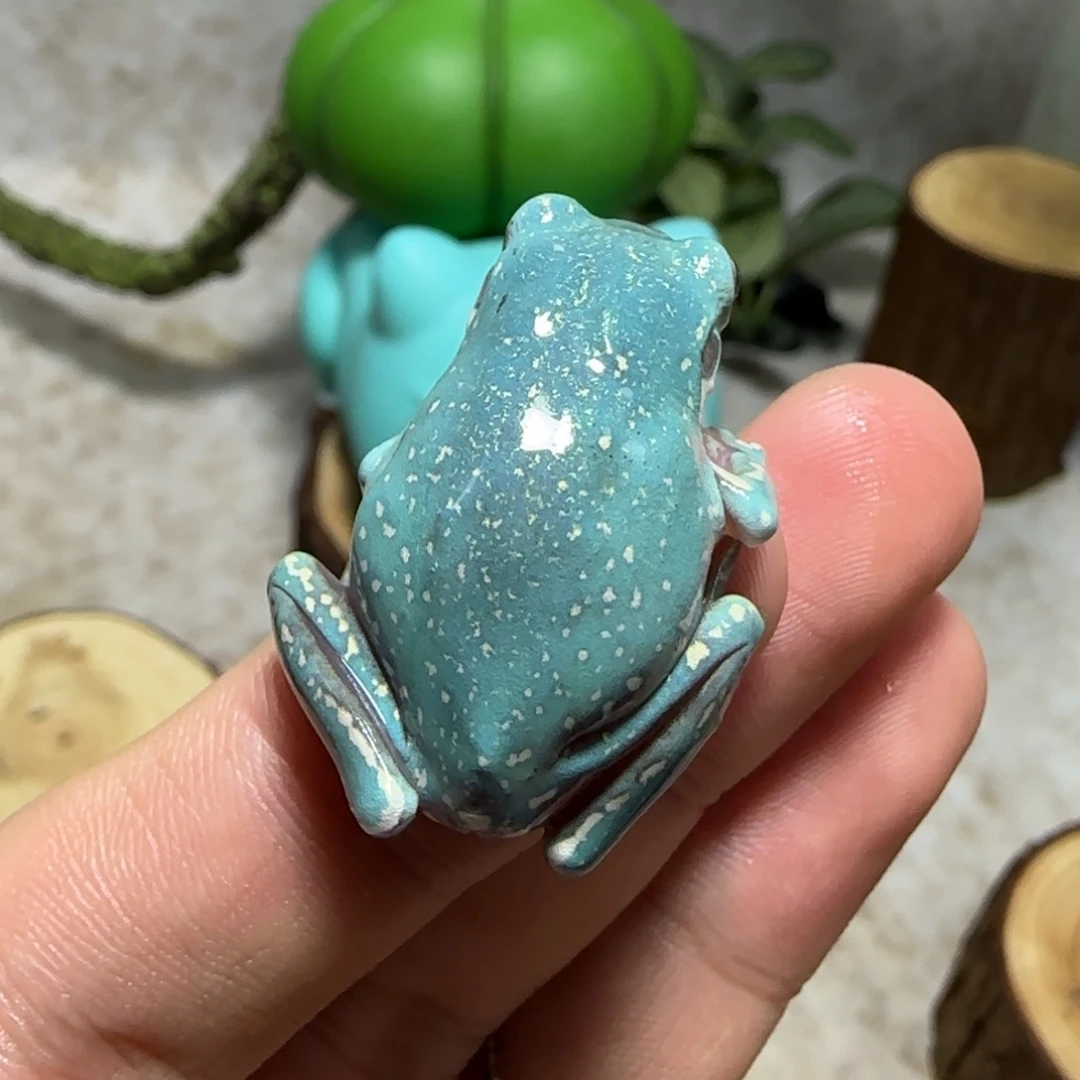 老爷树蛙1 魔鬼蓝满暴雪