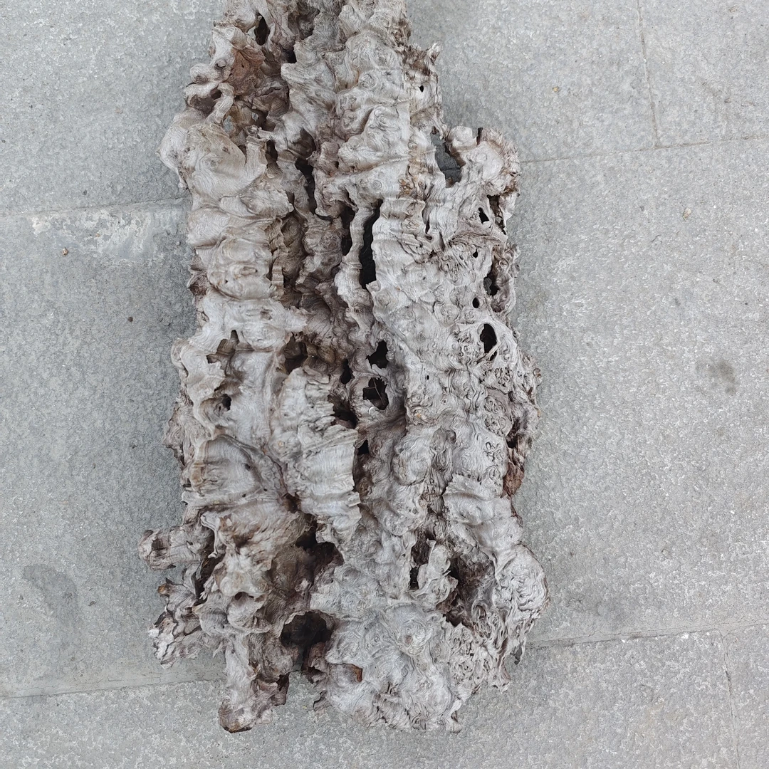 民间所以千年阴沉乌木