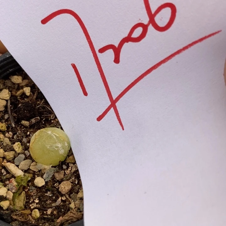 碎****念17206一组一组一组