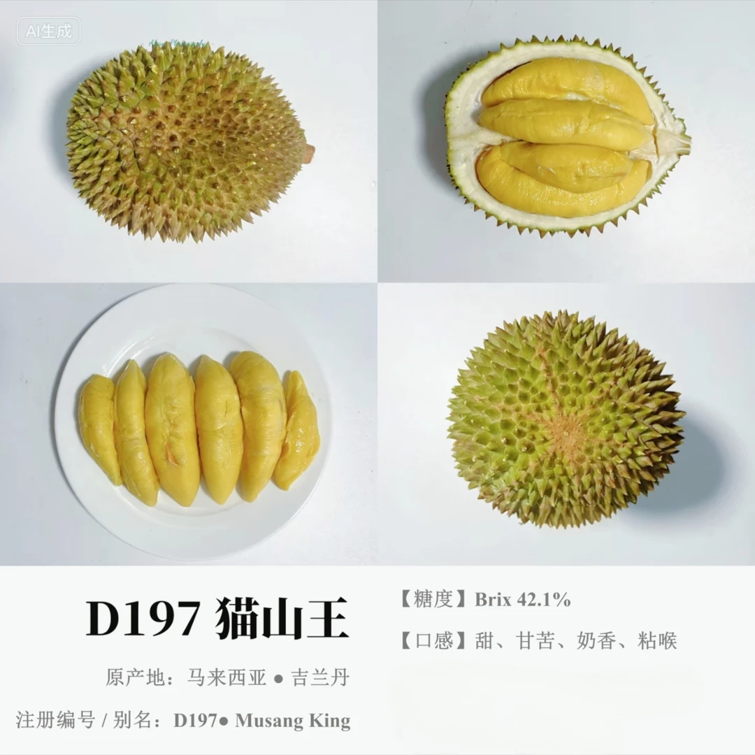 【一物一拍】马来西亚D197猫山王液氮榴莲【保5房保35%出肉率】顺丰