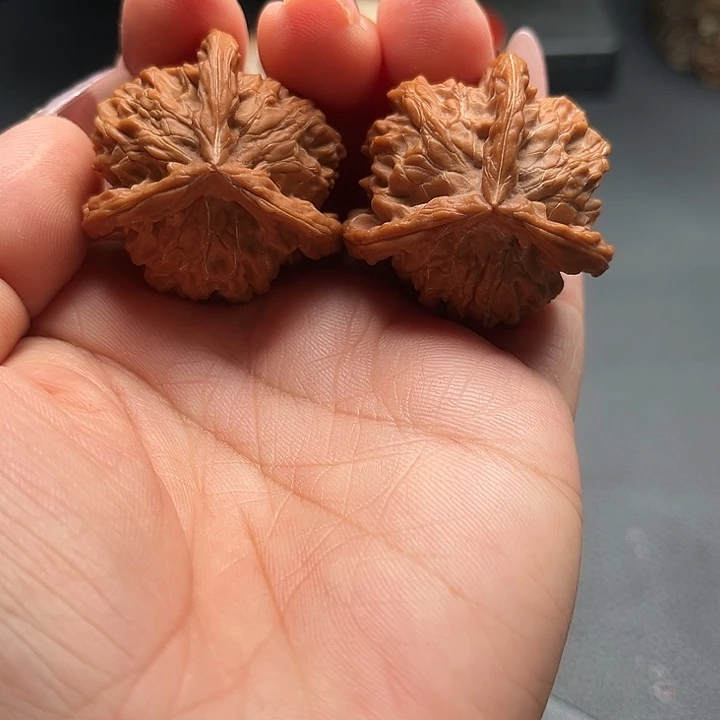 核桃36盘山公子帽全品