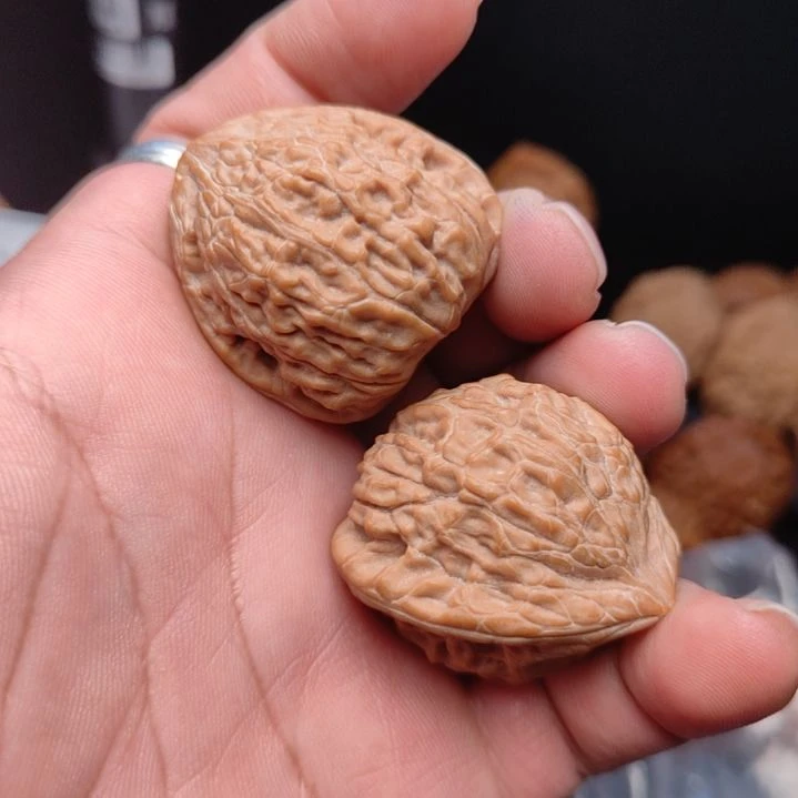 小****蛇王一摸红核桃hbdf