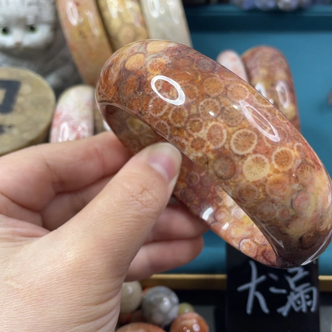 未镶嵌手镯硅化玉