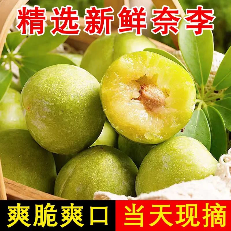 A2【坏果包赔】正宗广西脱骨冰糖奈李脆甜爽口新鲜当季水果清脆多汁