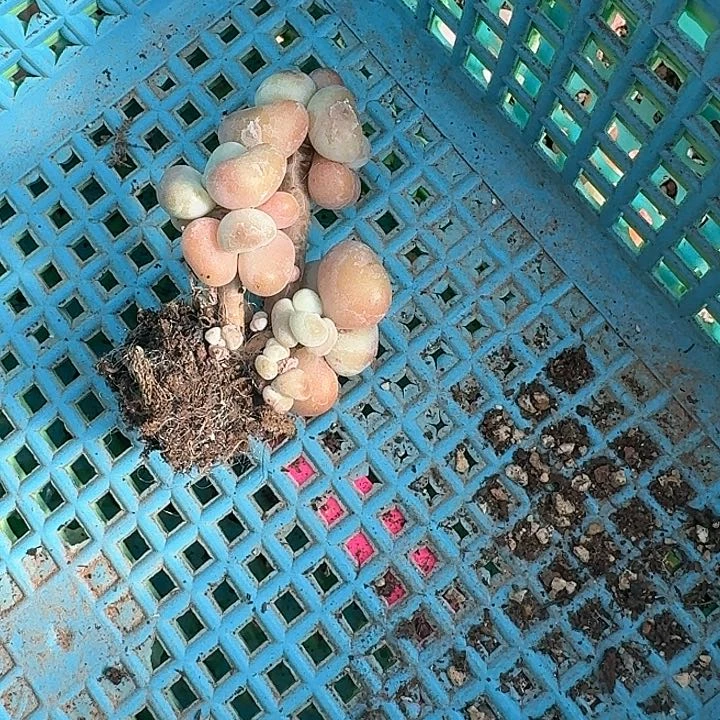 ?****xv x xv z z x d f 125