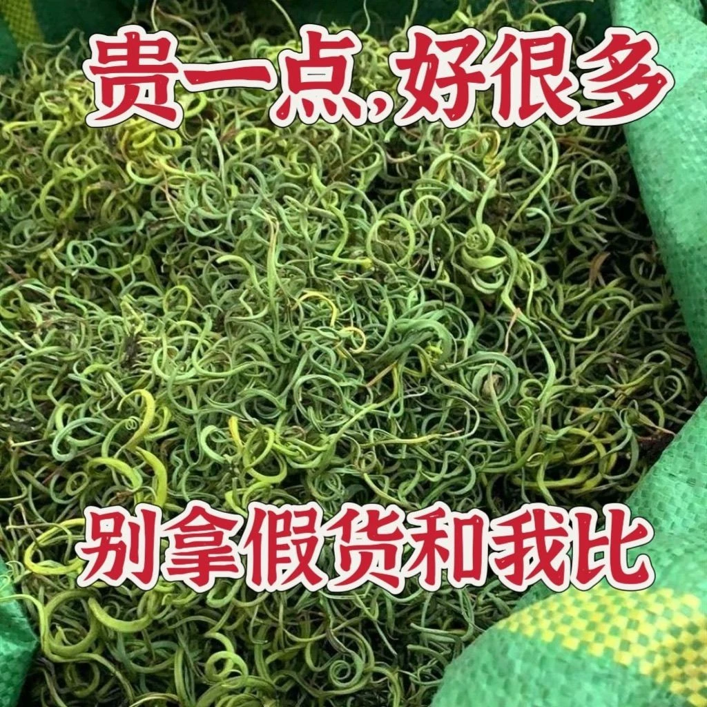 黑龙江野生石茶 深山小茶