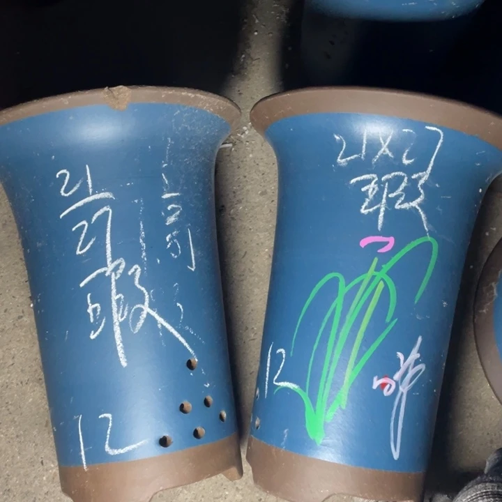 啧啧啧啧这是真真正正