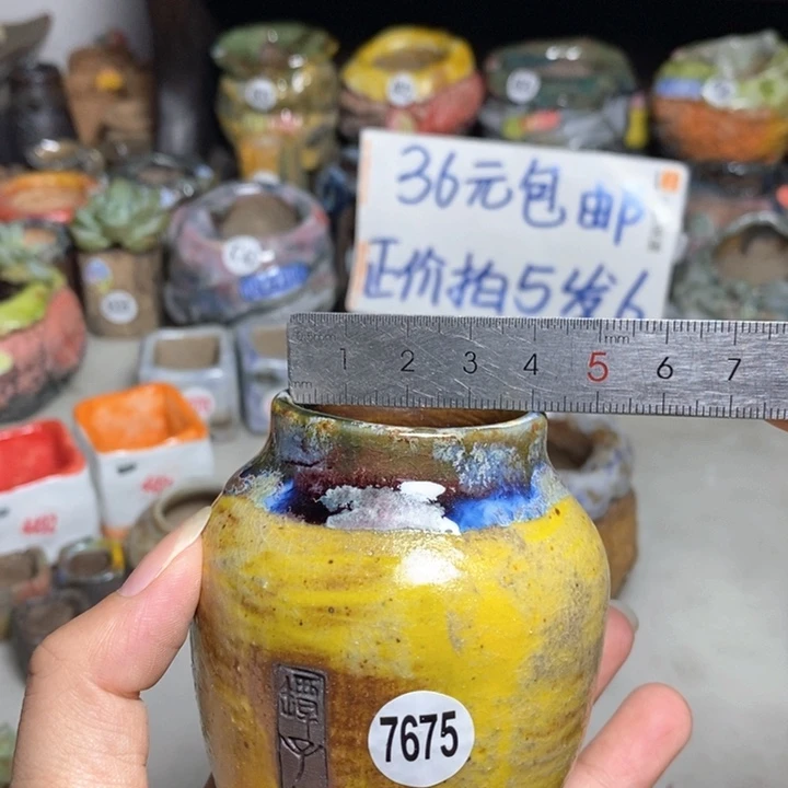 拍3送一个小礼物