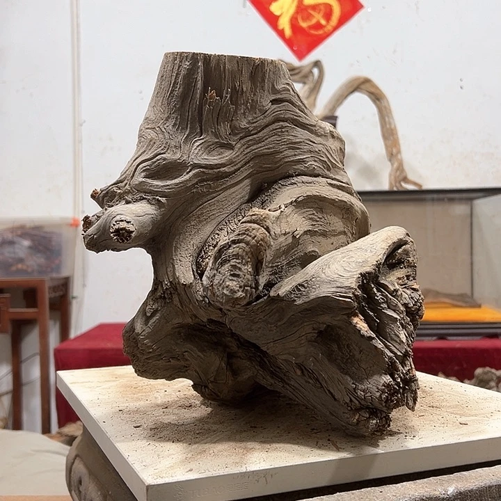 柏木长*波我们都是好孩子啊