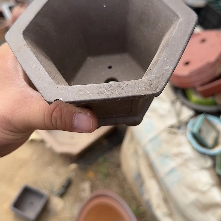 没有你怎么样你说什么你能给人家了吧