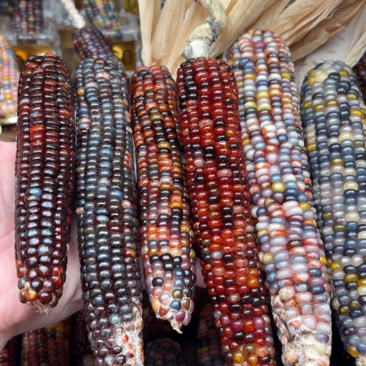 柏香籽/百香籽吊坠暴****榴