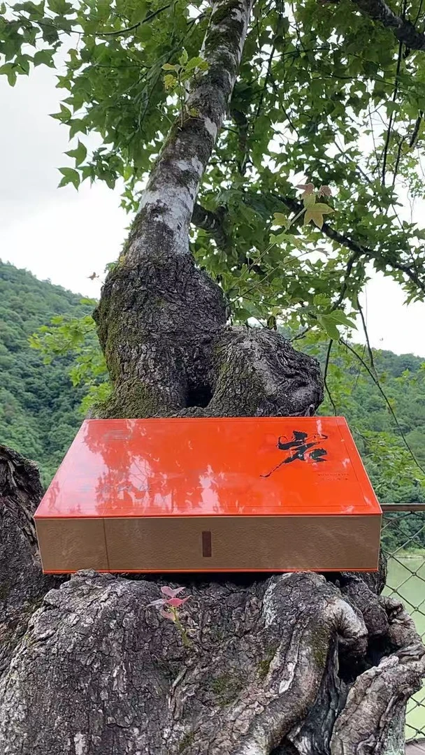 武夷山/武夷山大红袍/岩茶/桂气十足/生态肉桂/30小袋/每袋8.3g