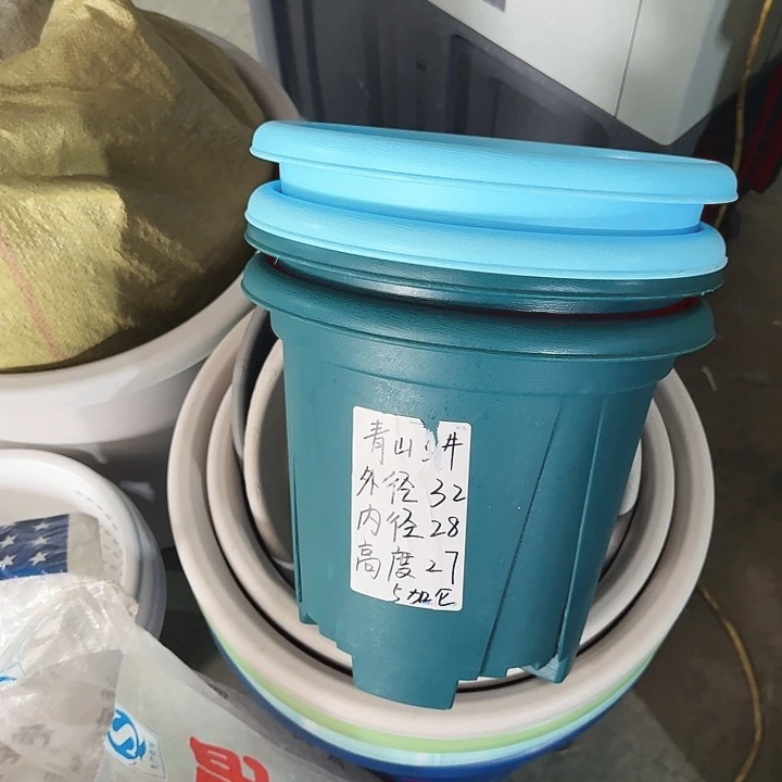 青山6#军绿5个无托