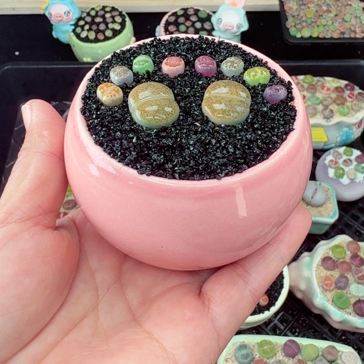 571零下地区记得拍保温箱满18包邮