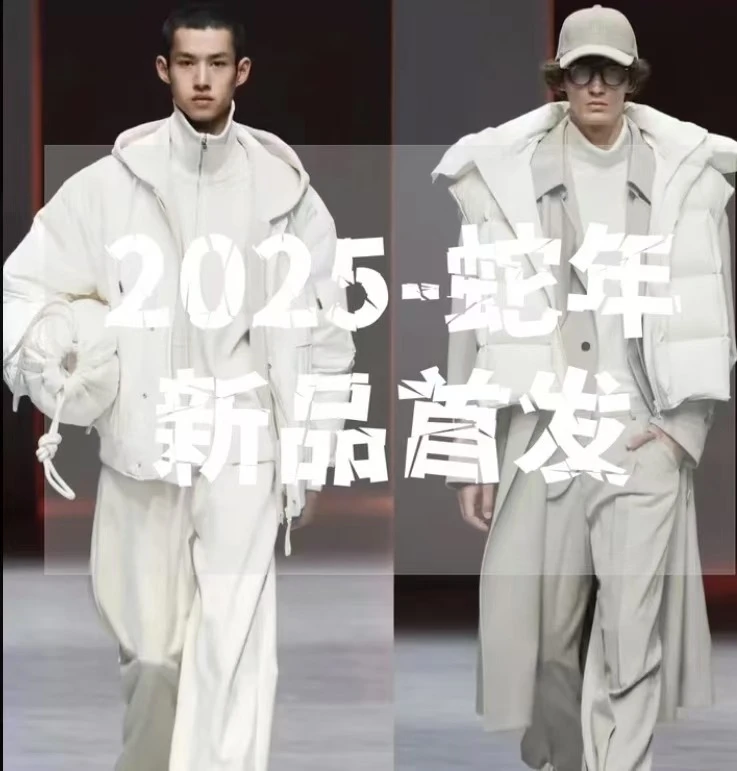 【花1】蛇年春季网红运休闲动百搭高定时尚刺绣连帽短袖 GZ-010