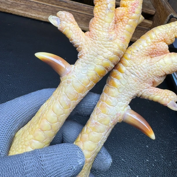 文玩鸡爪骨手把件（一对霸王鸡 处理好十天左右发货）
