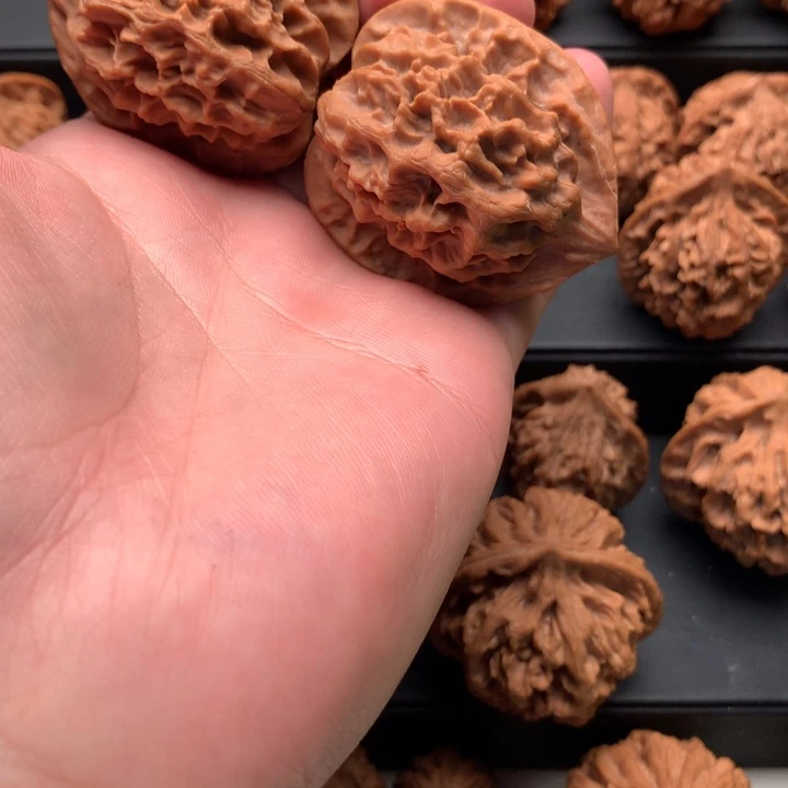 其他核桃巧****机秦岭的一