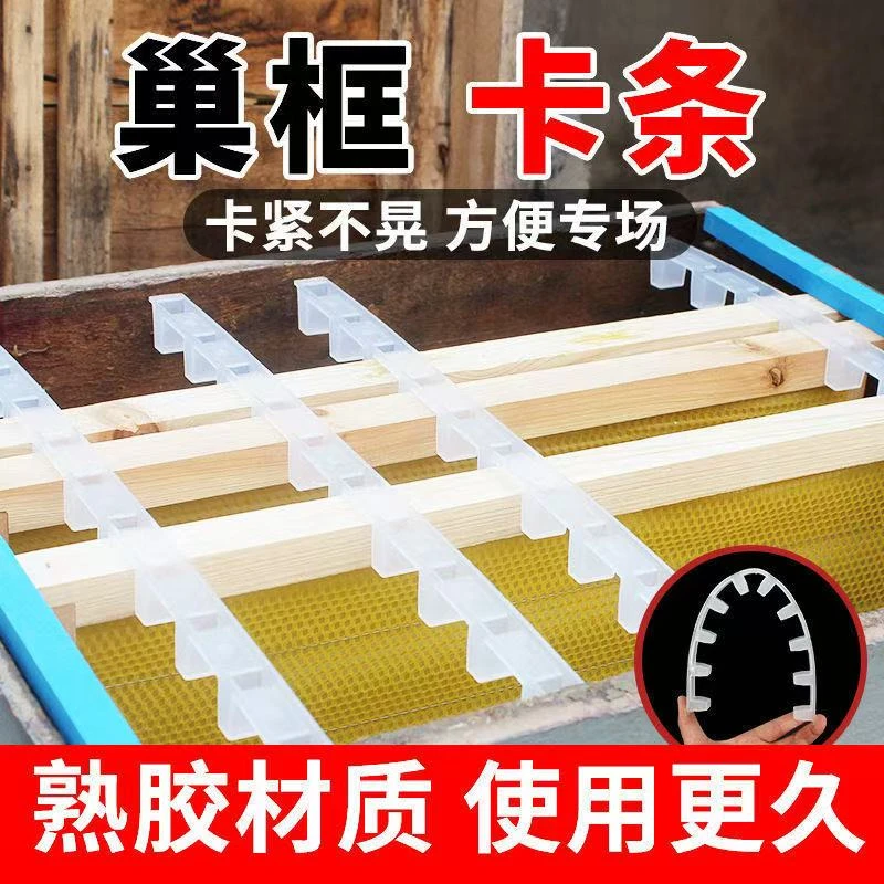 中蜂意蜂蜂箱转场专用巢框固定塑料卡条养蜂工具