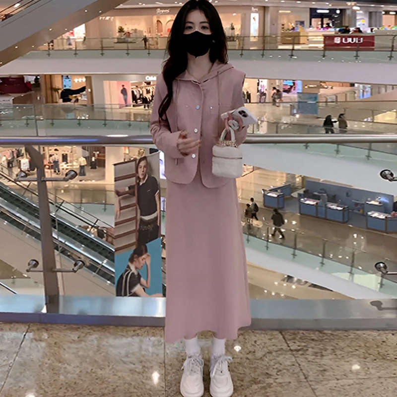 韩系休闲连衣裙套装女2025春秋新款设计感马甲减龄卫衣裙两件套