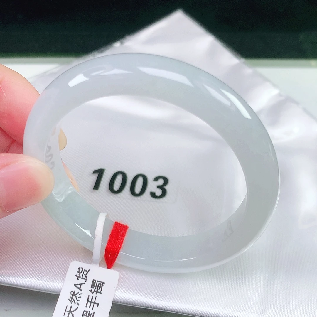未镶嵌手镯翡翠1003