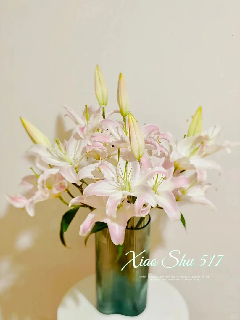 【希腊百合】高品质百合 云南鲜花一单也包邮 发货后不支持退款