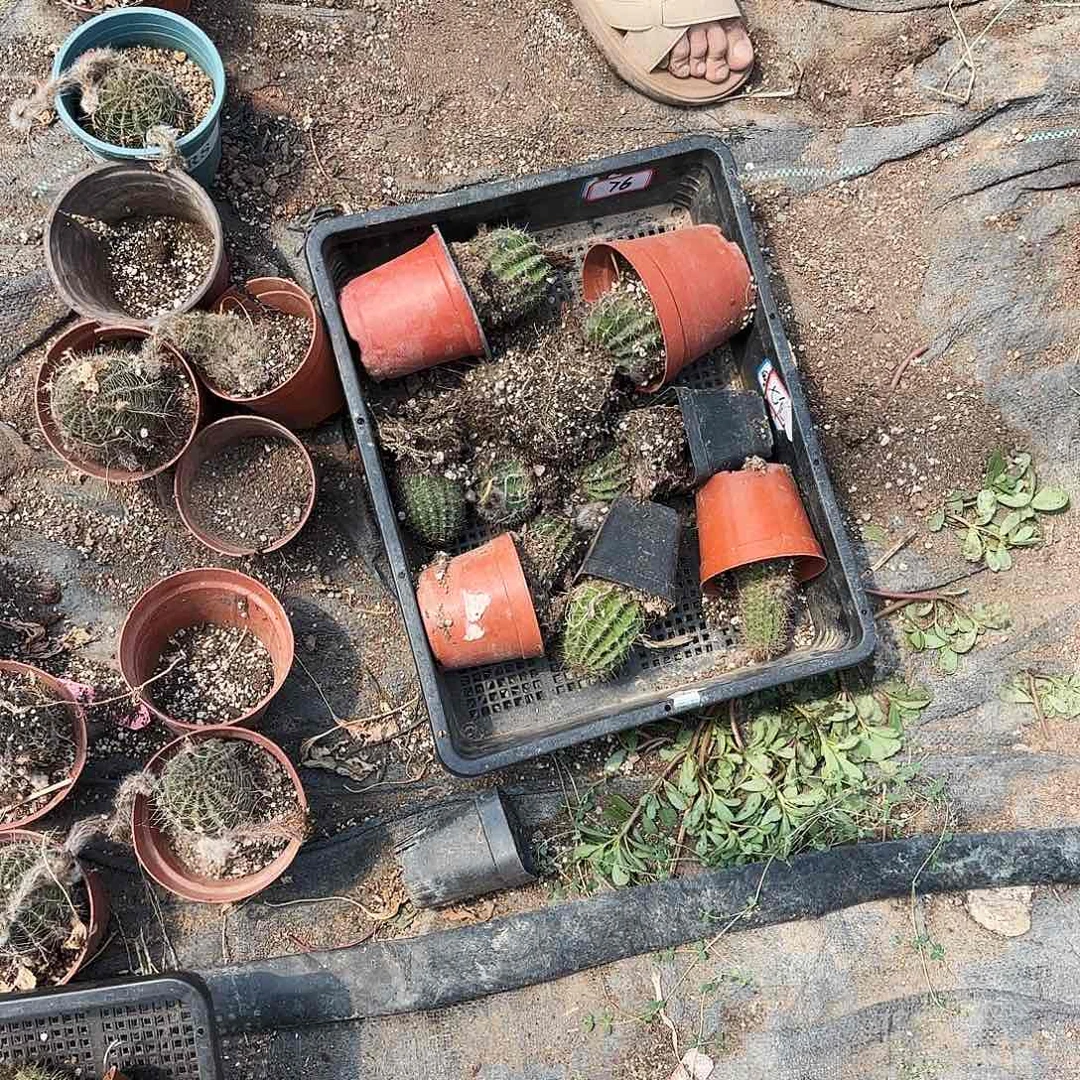 76 号一筐处理瑕疵无售后瘦小